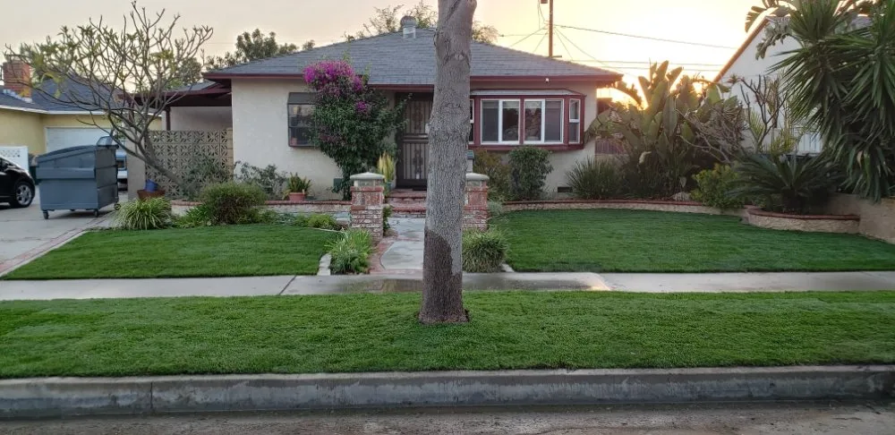 Reliable landscape design for beautiful yards in Bellflower, CA by Jesus Lawn Maintenance