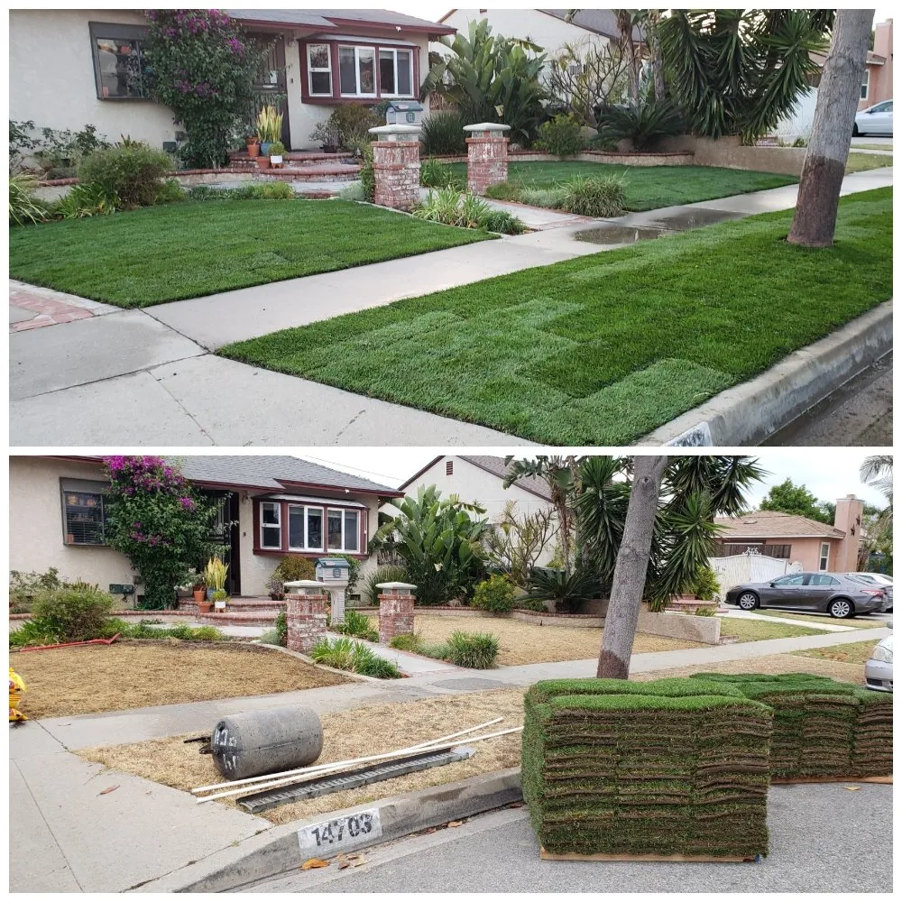 Expert landscape installation in Bellflower, CA - Jesus Lawn Maintenance