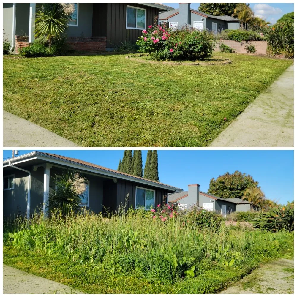 Local yard cleanup service near you across Bellflower, CA - Jesus Lawn Maintenance