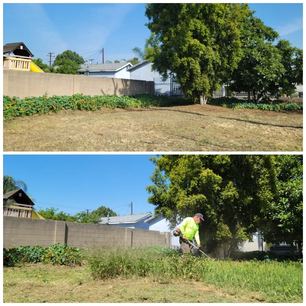 Expert landscaping services experts serving Bellflower, CA - Jesus Lawn Maintenance