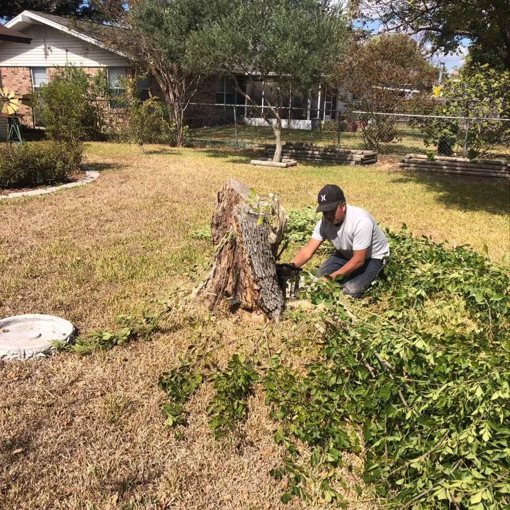 Top-rated outdoor landscaping in San Antonio, TX - Jesus Luna Tree Service