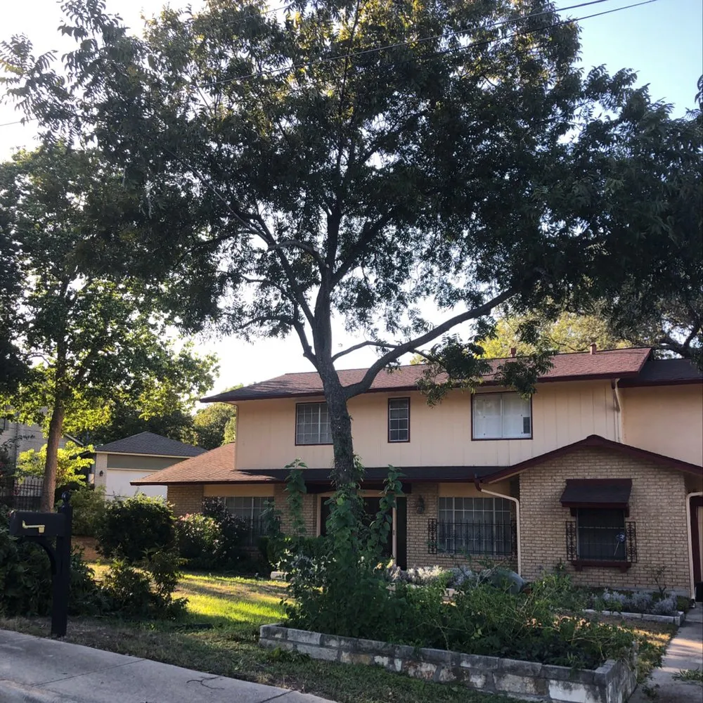Professional outdoor landscaping in San Antonio, TX - Jesus Luna Tree Service