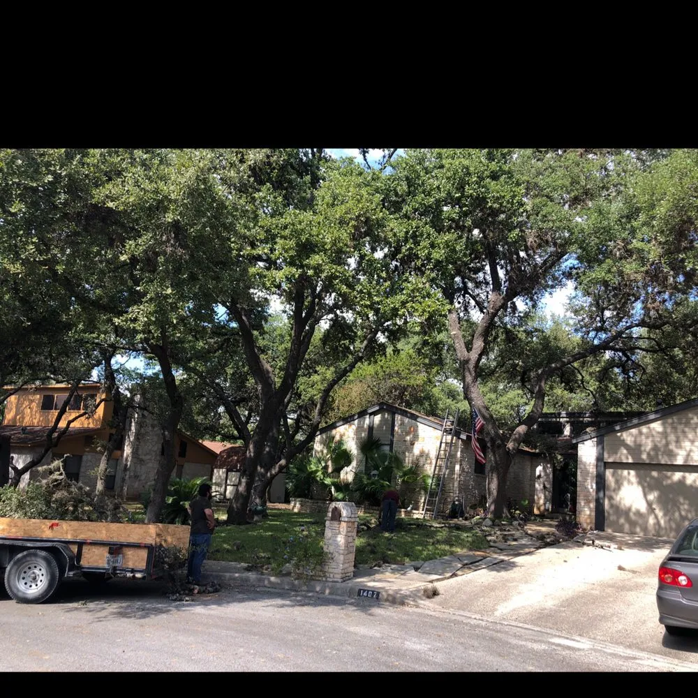 Trusted outdoor landscaping in San Antonio, TX by Jesus Luna Tree Service