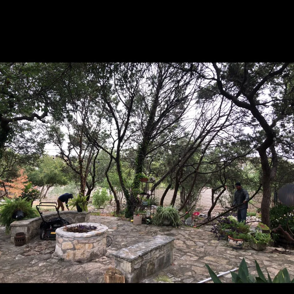 Expert landscaping services for year-round maintenance in San Antonio, TX by Jesus Luna Tree Service