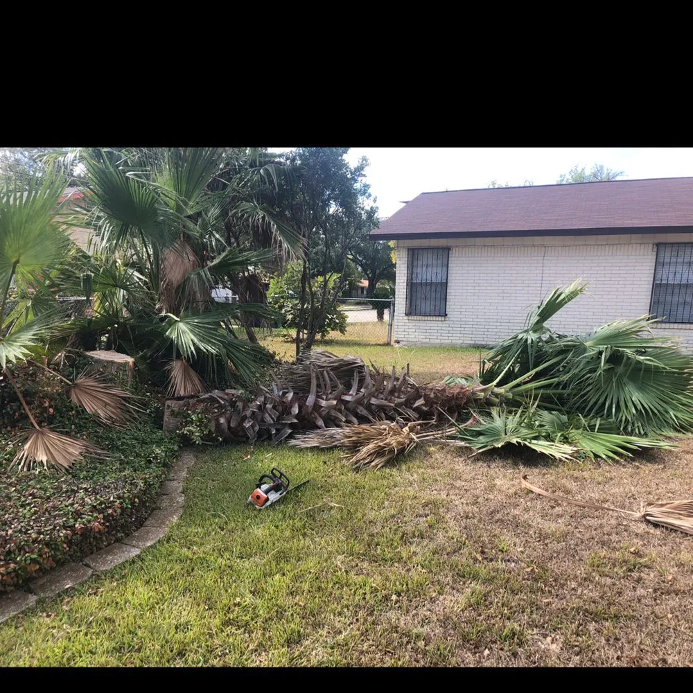 Affordable yard maintenance for residential properties across San Antonio, TX - Jesus Luna Tree Service