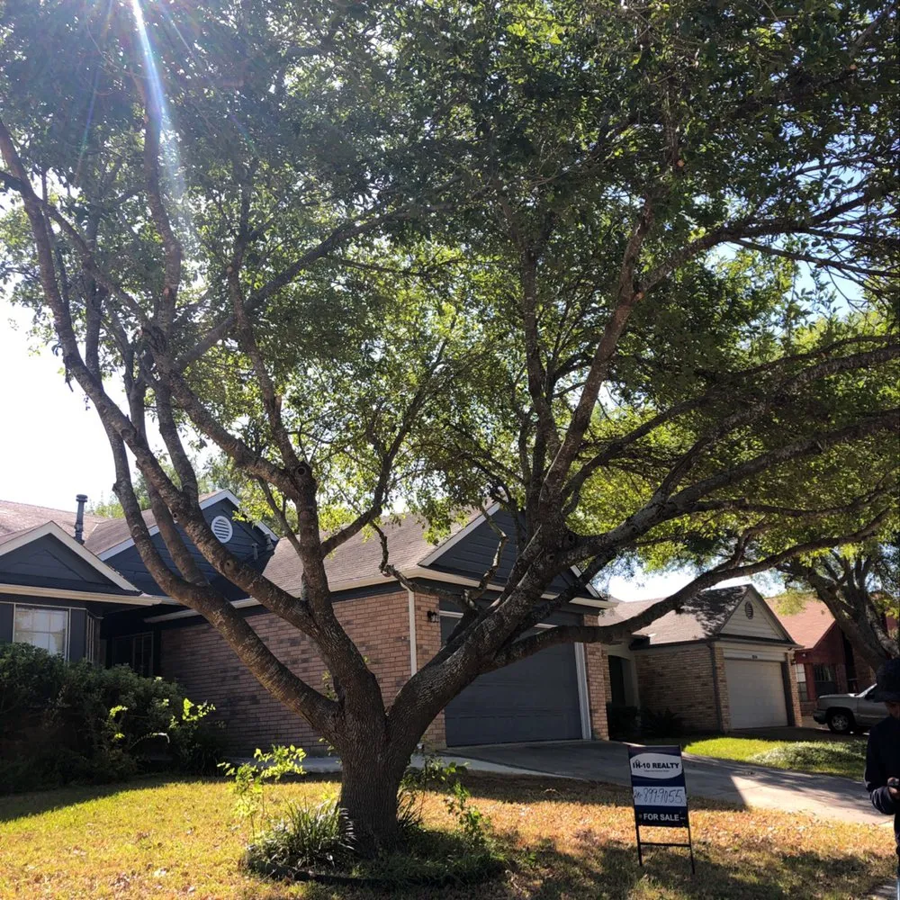 Professional lawn mowing service for homes across San Antonio, TX - Jesus Luna Tree Service