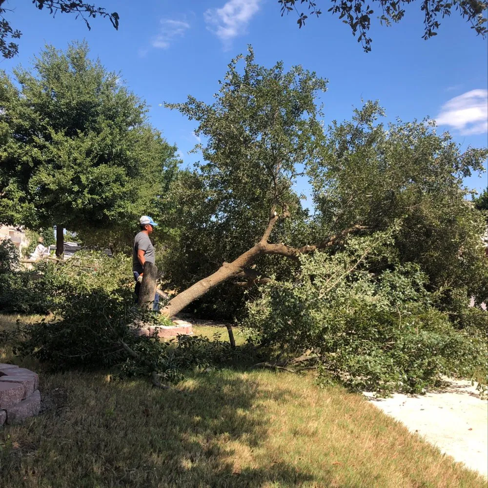 Trusted landscape installation for outdoor upgrades in San Antonio, TX by Jesus Luna Tree Service
