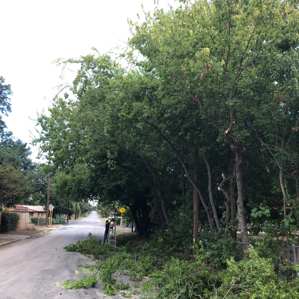 Top-rated residential landscaping with custom design across San Antonio, TX - Jesus Luna Tree Service