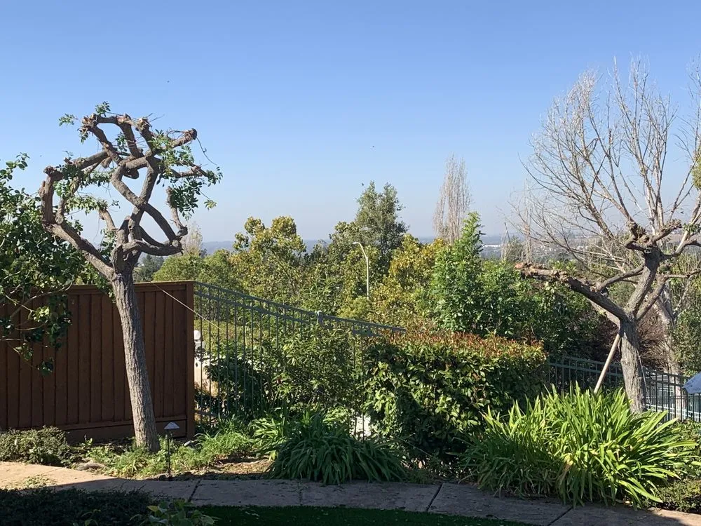 Local lawn care service for outdoor upgrades in Turlock, CA by Jesus Pantoja Garden Service & Landscape