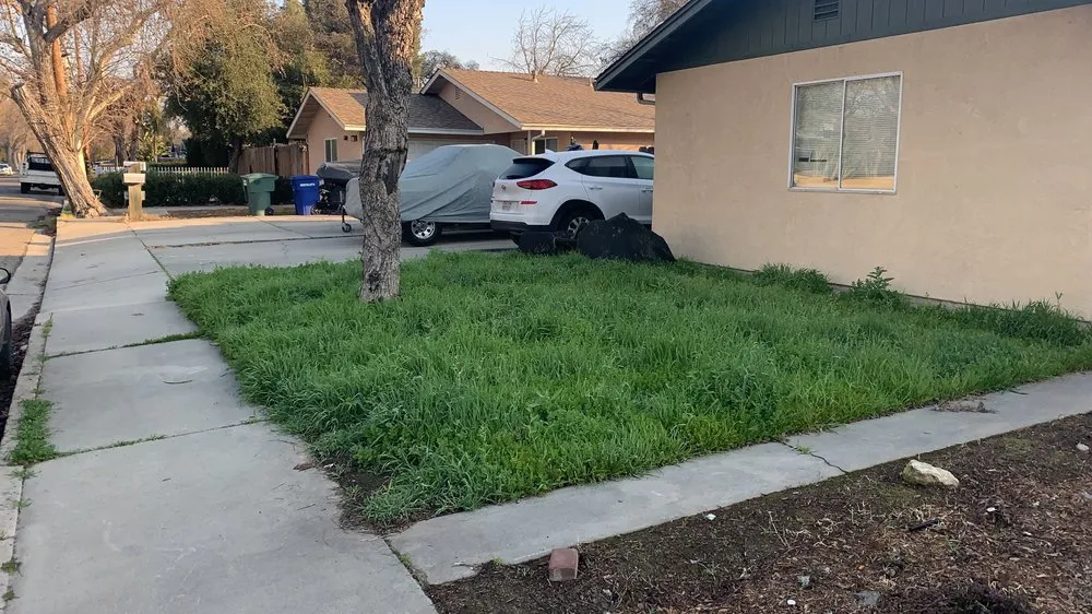 Custom residential landscaping in Turlock, CA - Jesus Pantoja Garden Service & Landscape