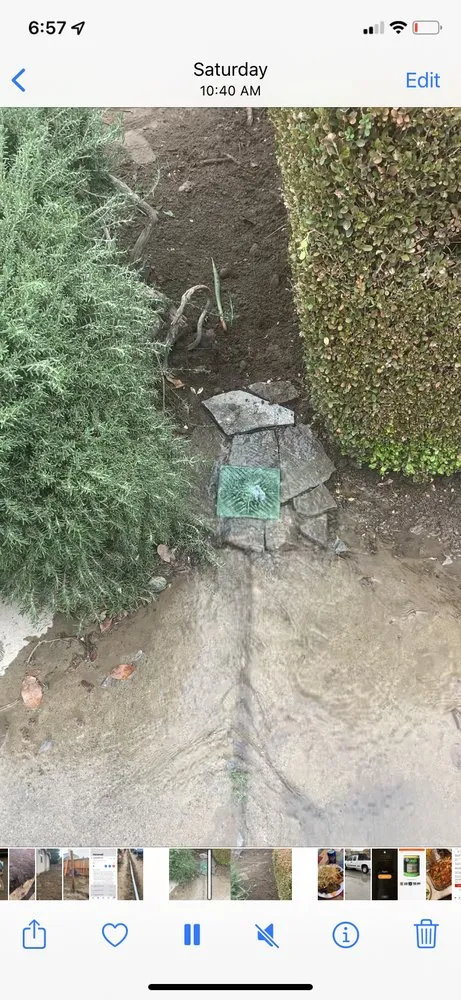 Custom yard maintenance for residential properties in Turlock, CA by Jesus Pantoja Garden Service & Landscape