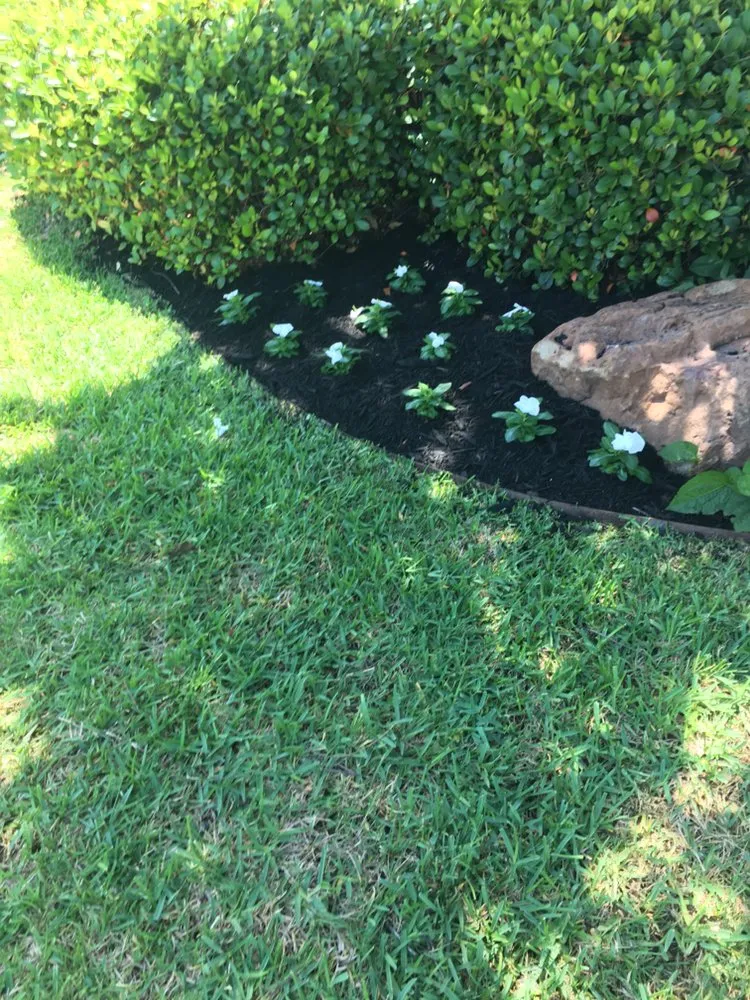 Affordable yard maintenance for outdoor upgrades in Fort Worth, TX by Jesus Professional Landscaping and Tree Service