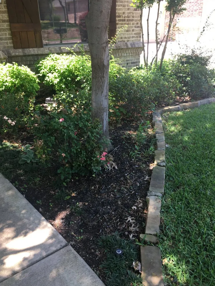 Affordable landscaping services in Fort Worth, TX - Jesus professional landscaping company