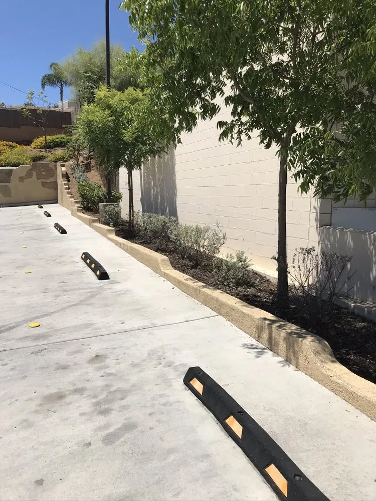 Custom lawn care service in El Cajon, CA - Jesus Robles