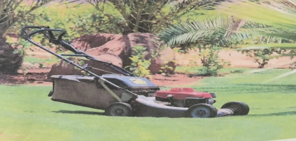 Expert residential landscaping in El Cajon, CA by Jesus Robles