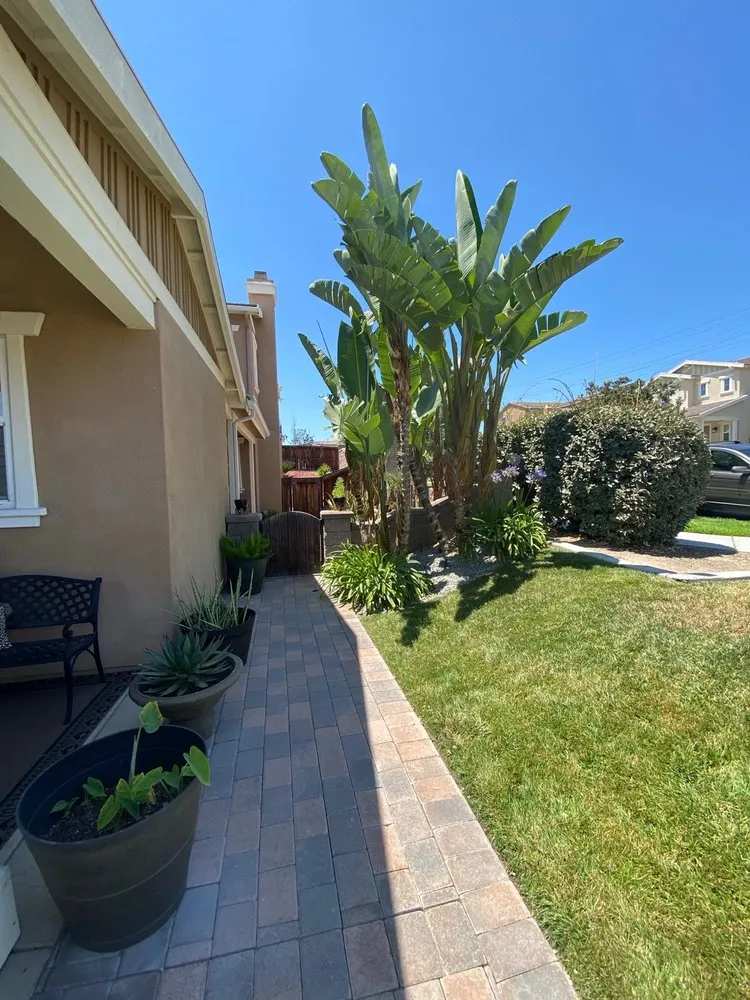 Reliable landscape installation near you in El Cajon, CA by Jesus Robles