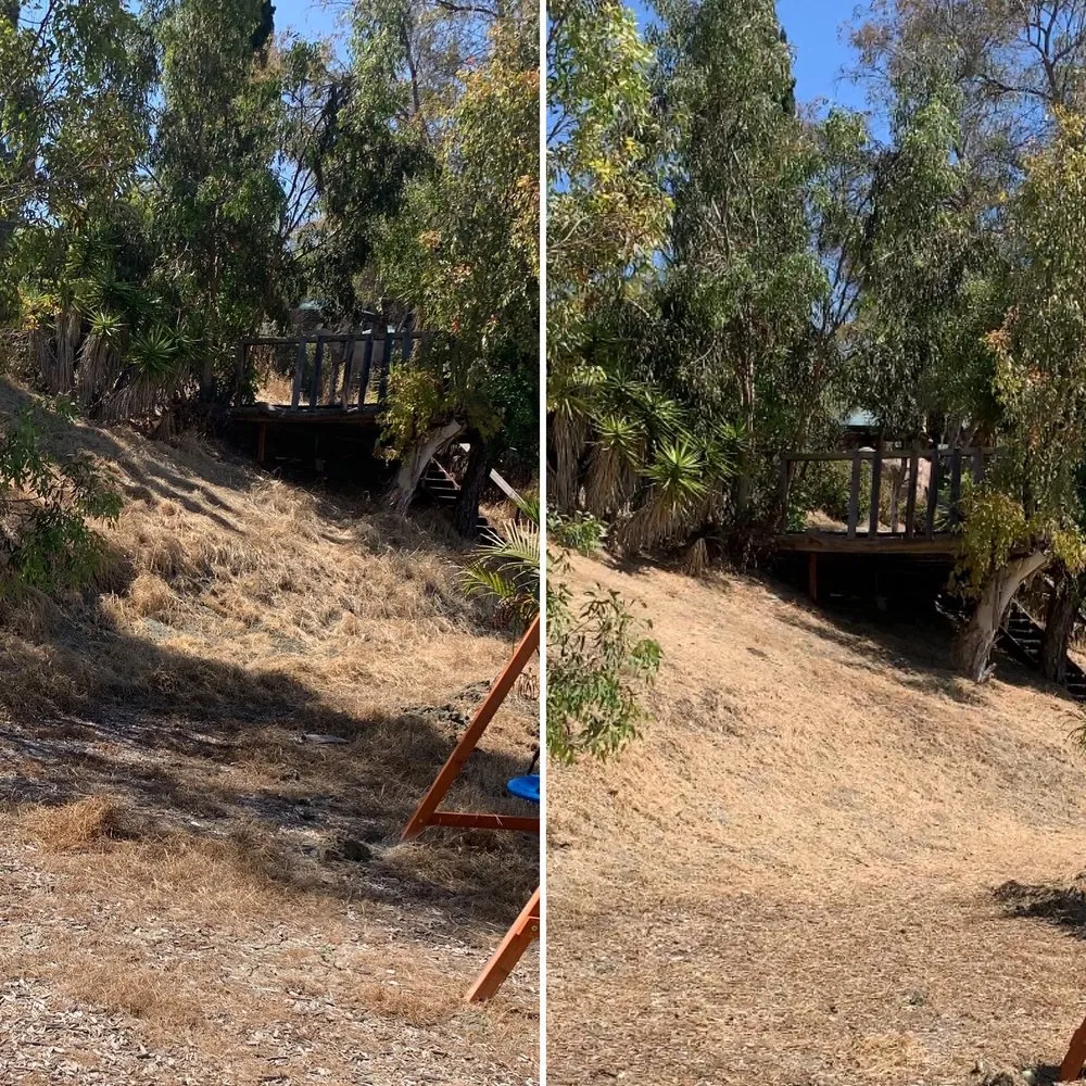 Professional outdoor landscaping in San Bernardino, CA by Jesus Roman Landscaping Services