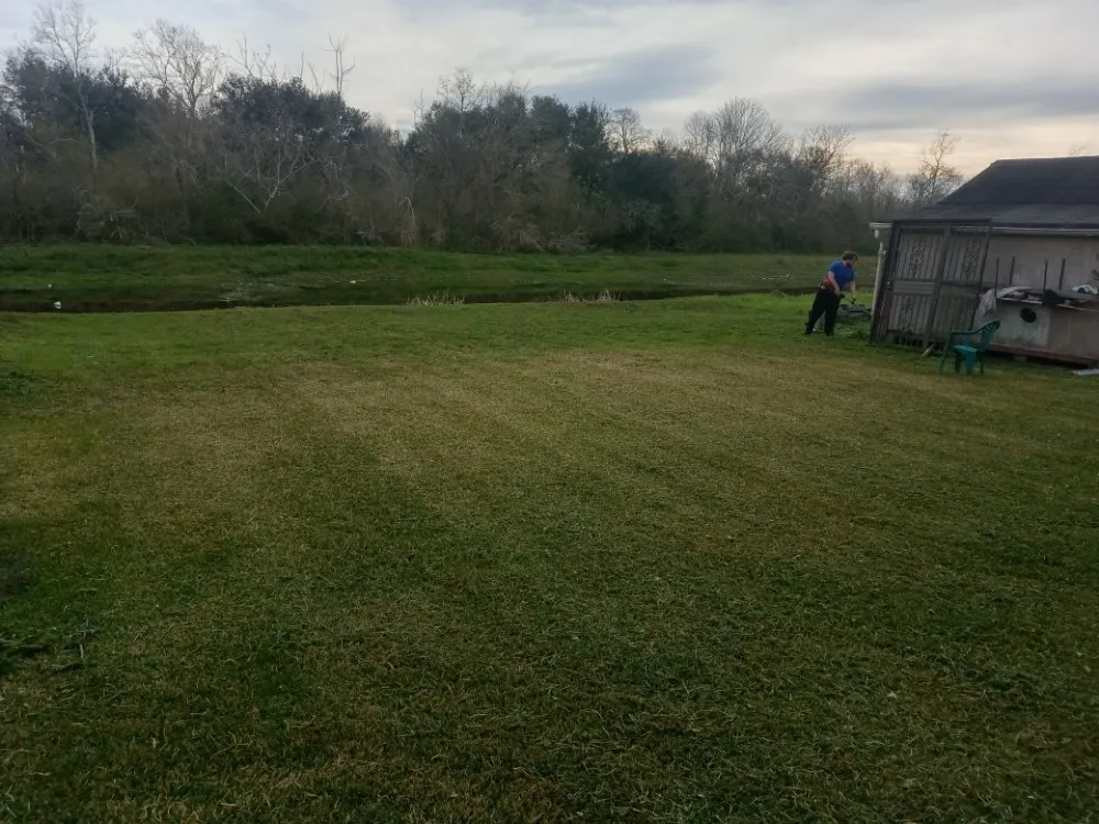 Professional landscape installation with custom design in New Orleans, LA by Jesus saves lawn care