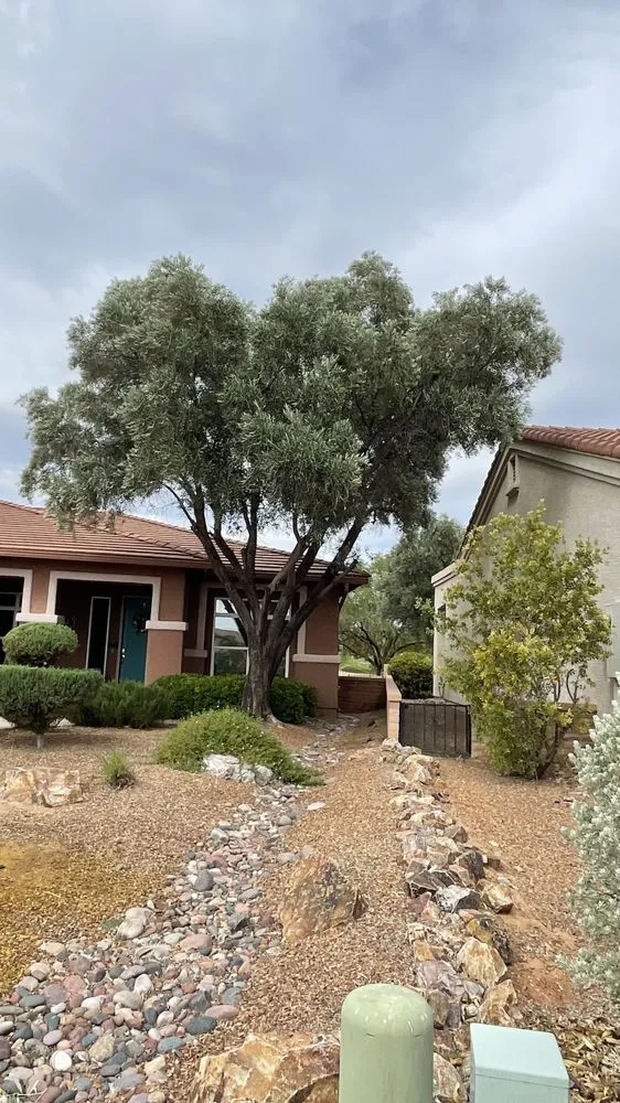 Trusted garden landscaping in Green Valley, AZ - Jesus’s Buisness