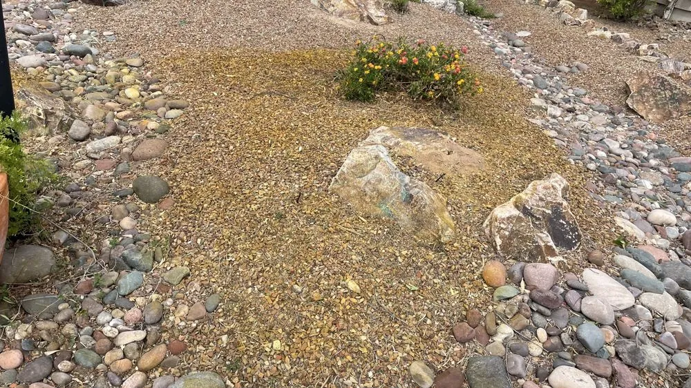 Custom lawn mowing service in Green Valley, AZ by Jesus’s Buisness