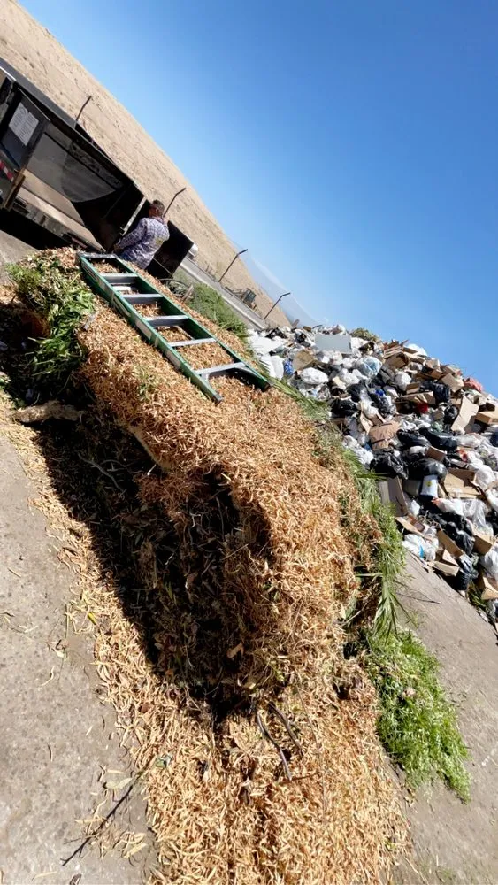 Affordable residential landscaping experts serving Green Valley, AZ - Jesus’s Buisness