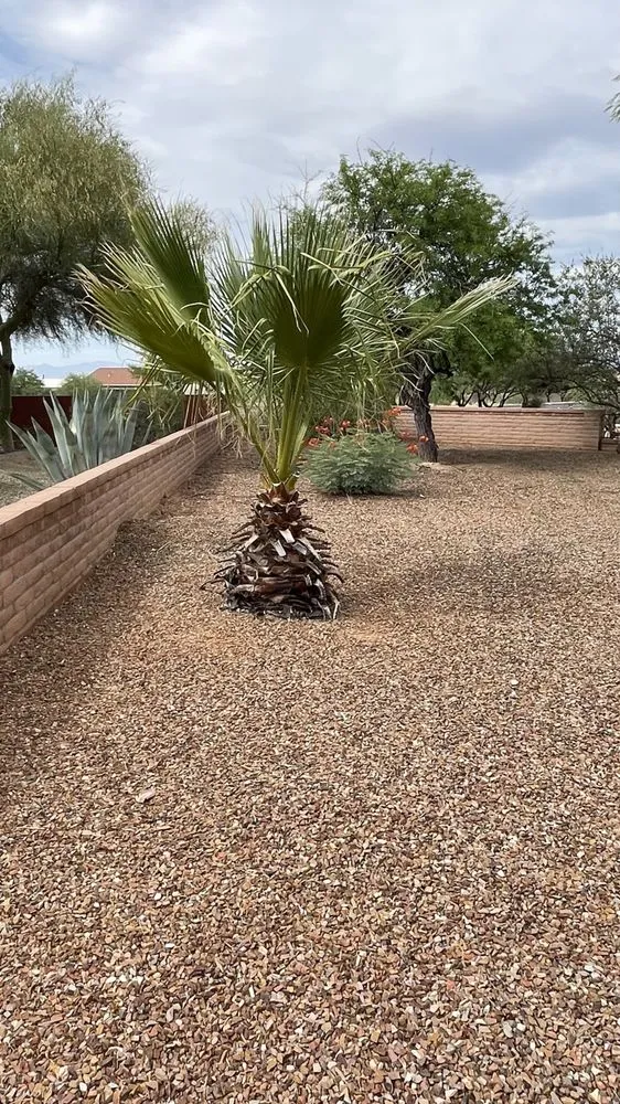 Top-rated yard maintenance for outdoor upgrades in Green Valley, AZ by Jesus’s Buisness