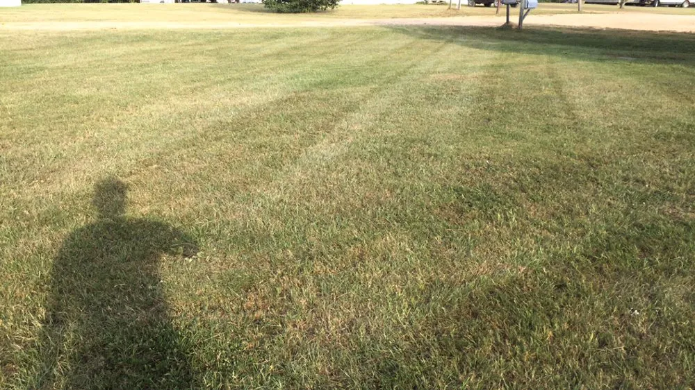 Custom landscape design for beautiful yards in Pell City, AL by Jesus’s Lawn Maintenance