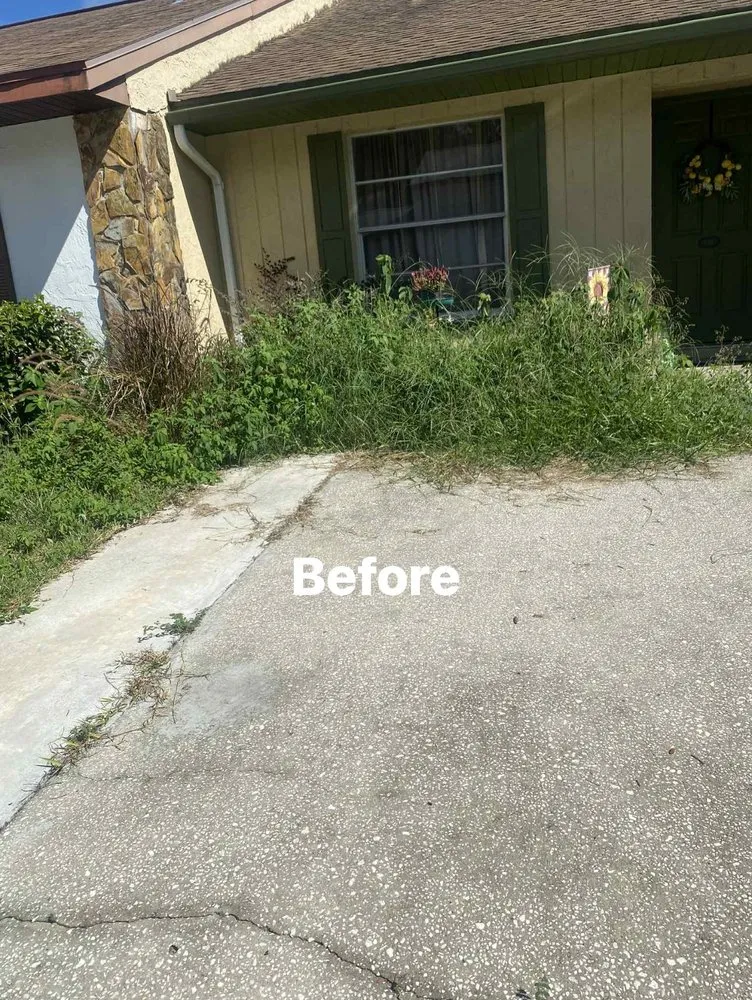 Custom landscaping services in Citrus Springs, FL - Jet Cutters