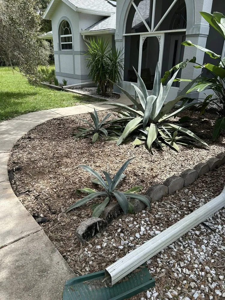 Reliable landscaping services in Citrus Springs, FL - Jet Cutters