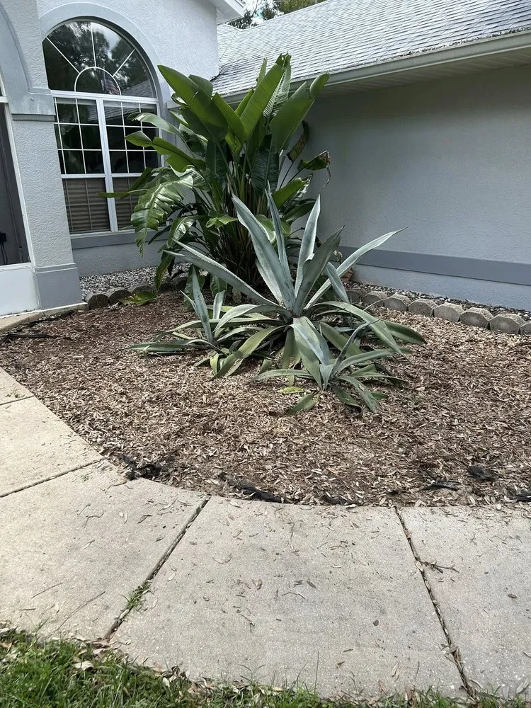 Top-rated yard cleanup service in Citrus Springs, FL by Jet Cutters