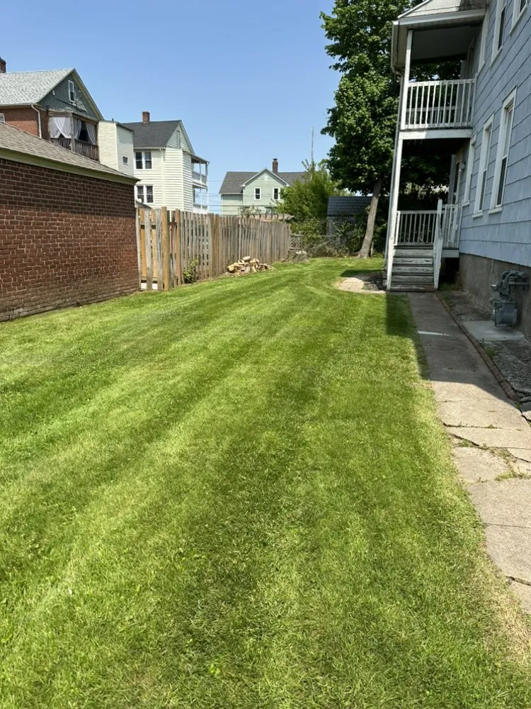 Affordable landscaping services near you in New Britain, CT by Jet Landscaping & Lawn service
