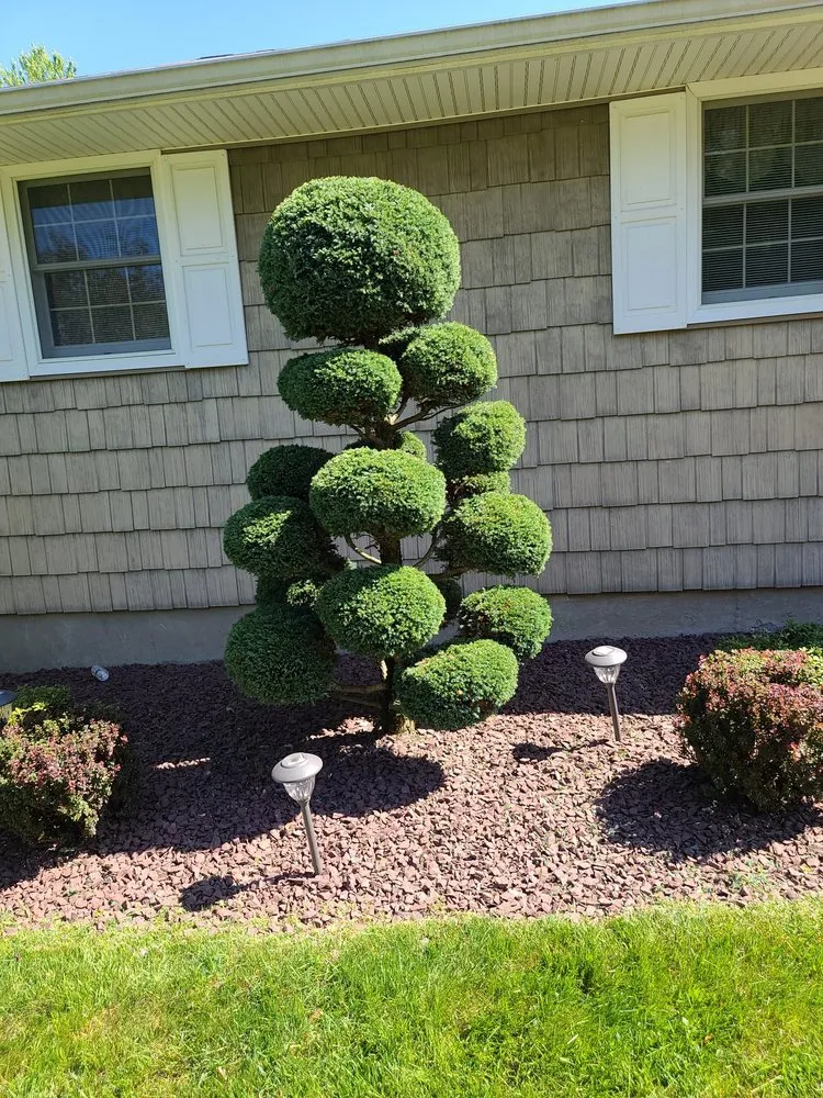 Professional landscape design for outdoor upgrades across New Britain, CT - Jet Landscaping & Lawn service