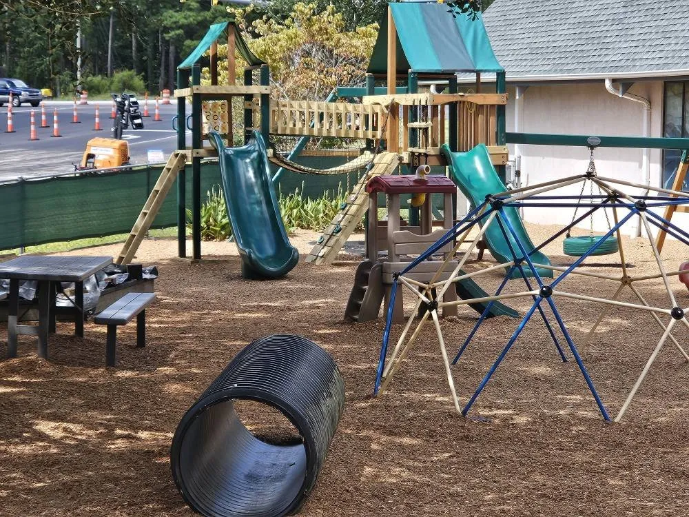 Affordable lawn care service experts serving Wilmington, NC - Jet Mulch