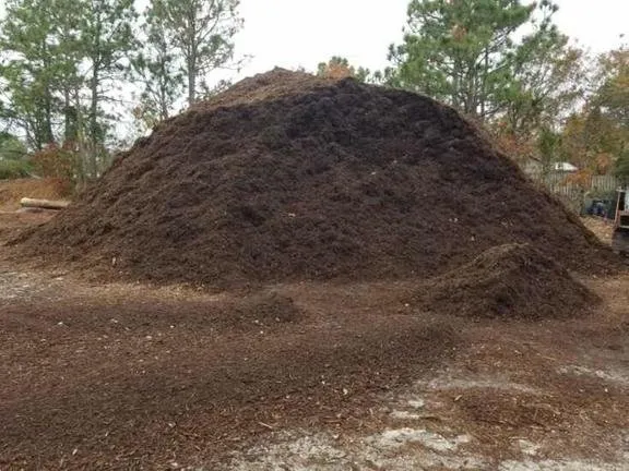 Reliable yard cleanup service in Wilmington, NC - Jet Mulch