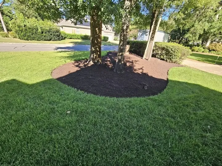 Affordable landscape design for year-round maintenance in Wilmington, NC by Jet Mulch