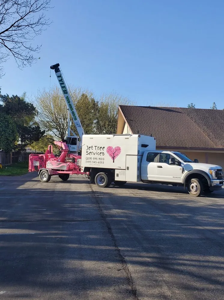 Expert landscape design for outdoor upgrades across Clovis, CA - Jet Tree Services