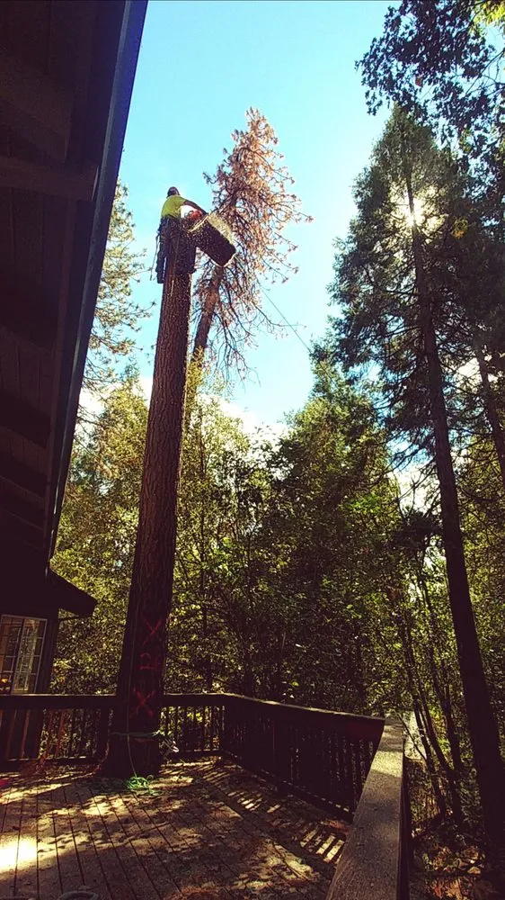 Affordable garden landscaping in Clovis, CA - Jet Tree Services