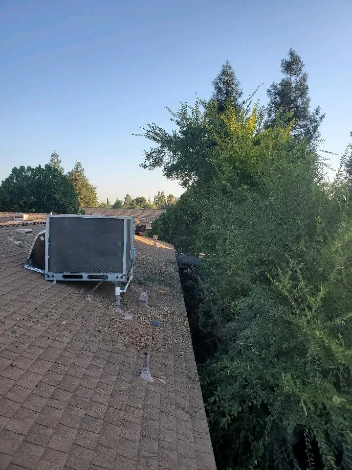 Local yard maintenance in Clovis, CA by Jet Tree Services