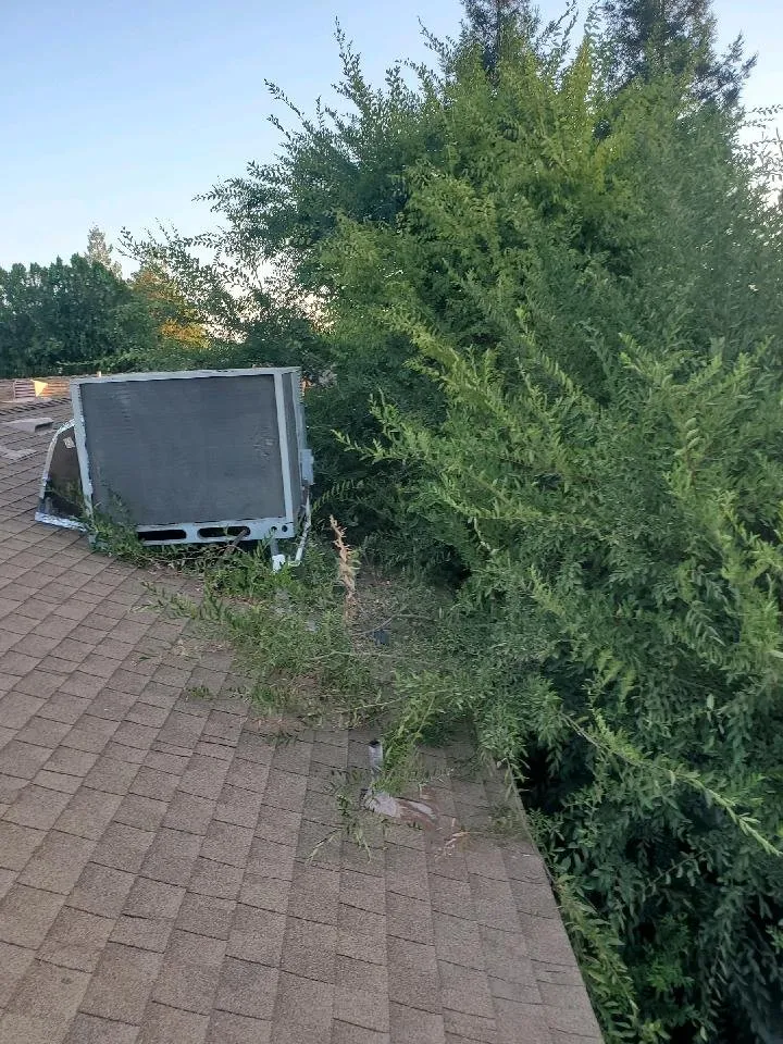 Local outdoor landscaping in Clovis, CA - Jet Tree Services