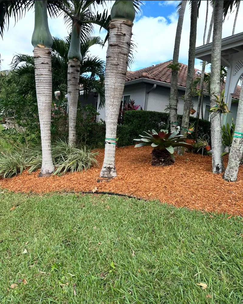 Reliable residential landscaping for year-round maintenance across Pompano Beach, FL - Jeters Landscaping