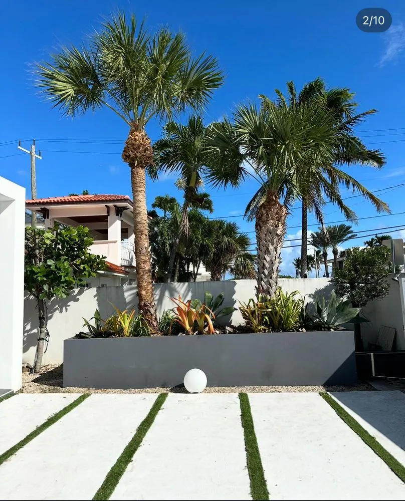 Trusted yard cleanup service for year-round maintenance in Pompano Beach, FL by Jeters Landscaping