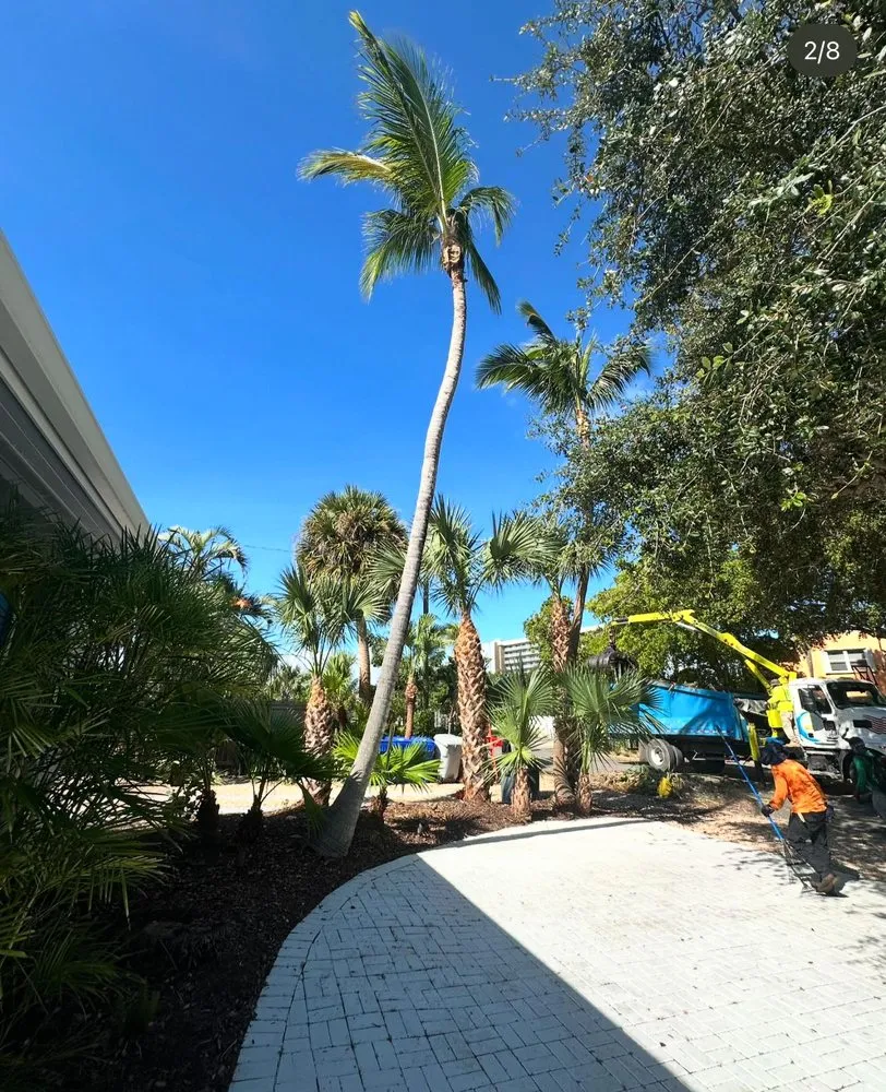 Affordable residential landscaping in Pompano Beach, FL - Jeters Landscaping