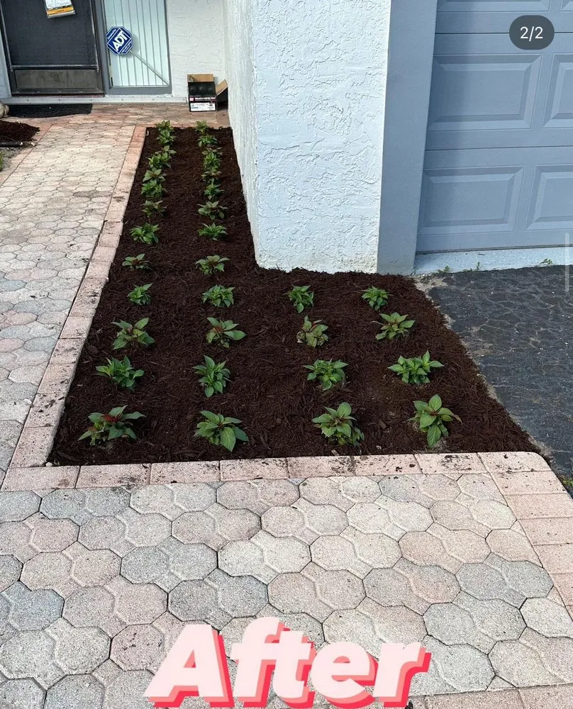 Affordable landscape design with custom design across Pompano Beach, FL - Jeters Landscaping