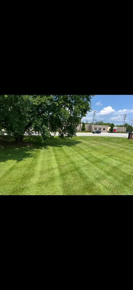 Custom landscaping services for beautiful yards across Woodruff, SC - Jeter’s Landscaping