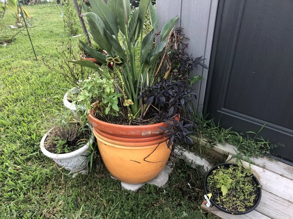 Professional landscape installation in Sanford, FL - Jetha Evergreen Solutions