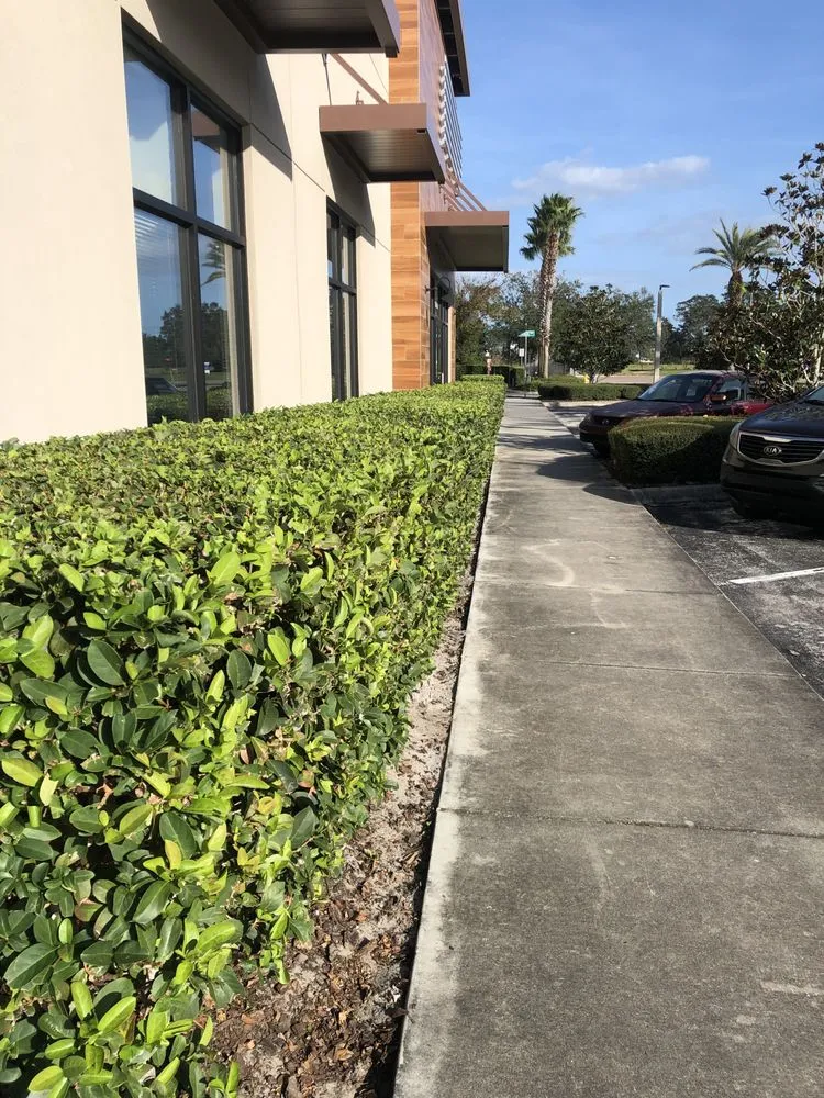Trusted yard maintenance in Sanford, FL - Jetha Evergreen Solutions