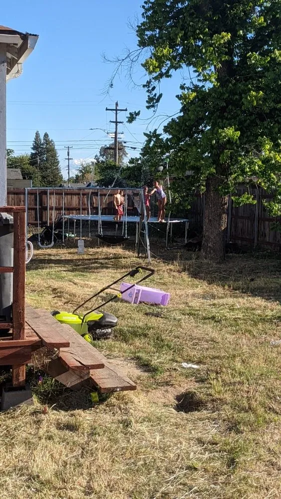 Expert lawn care service for year-round maintenance in Olivehurst, CA by JETS lawncare