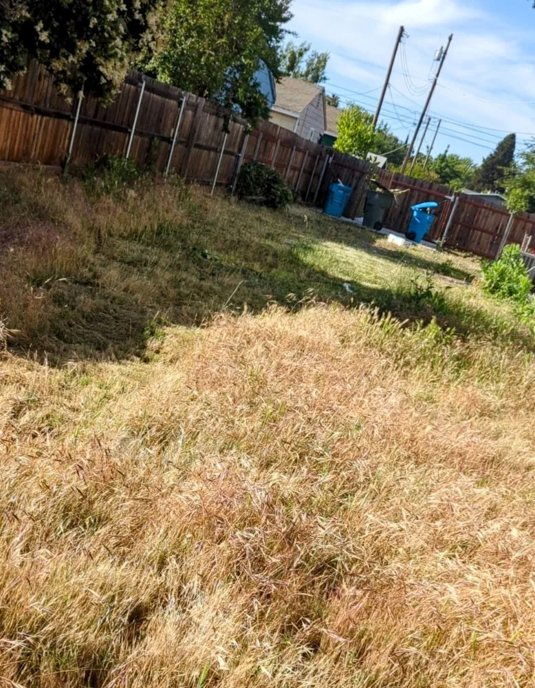 Affordable landscape design experts serving Olivehurst, CA - JETS lawncare