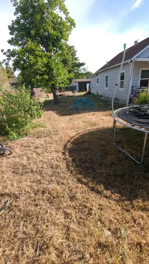 Professional residential landscaping near you in Olivehurst, CA by JETS lawncare