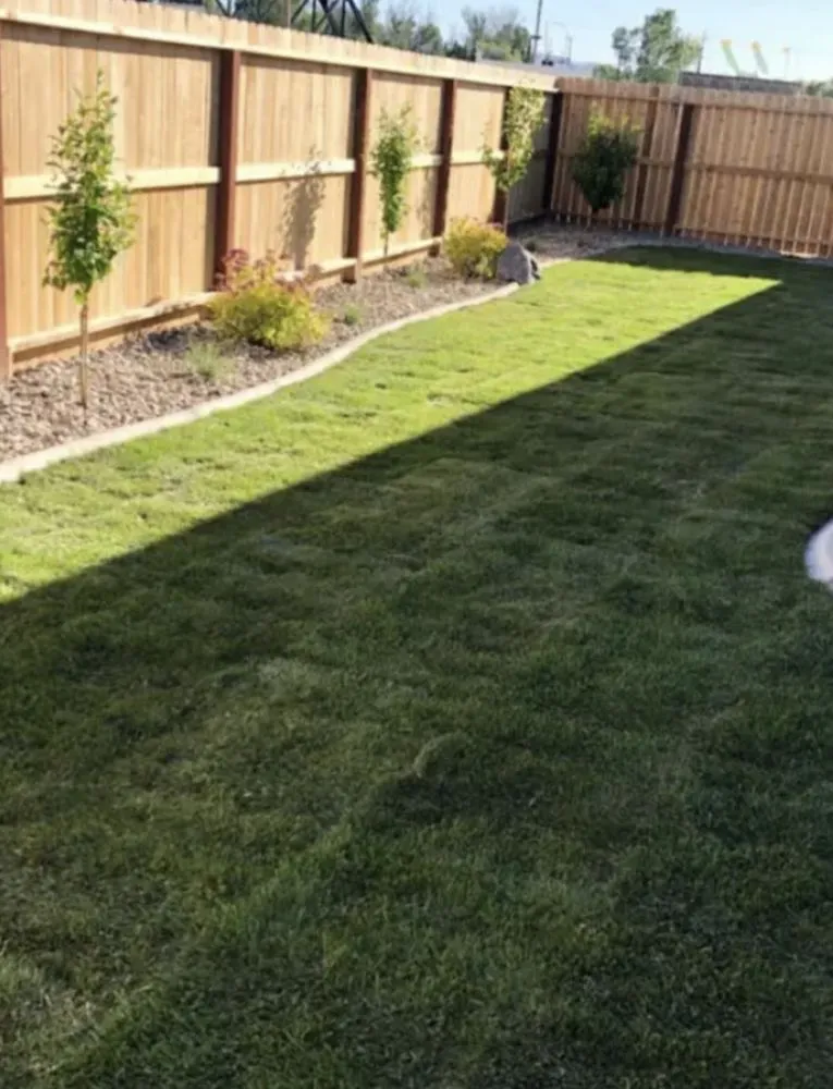 Trusted yard maintenance in Folcroft, PA by JetSkii’s Landscaping